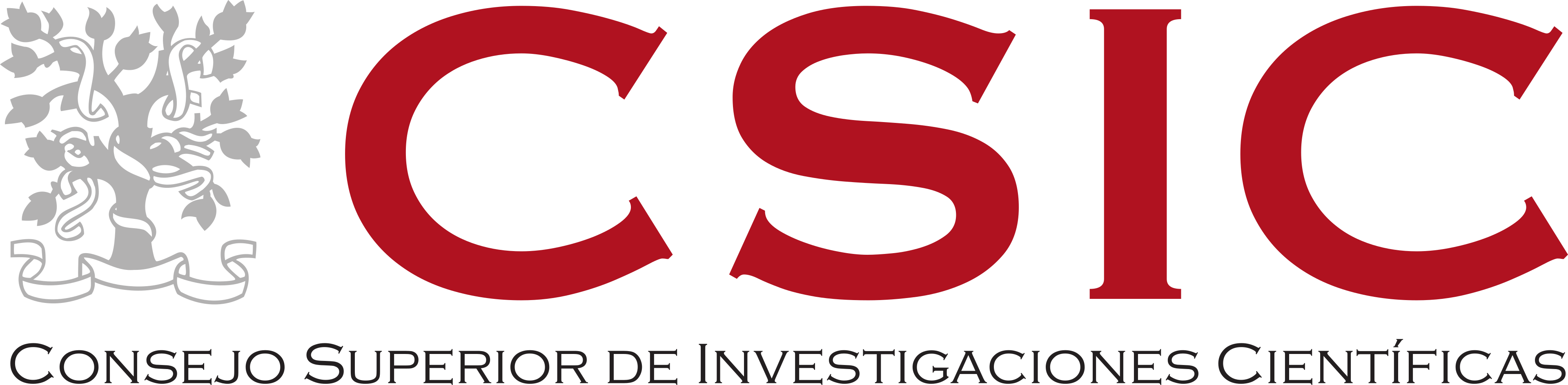 CSIC logo